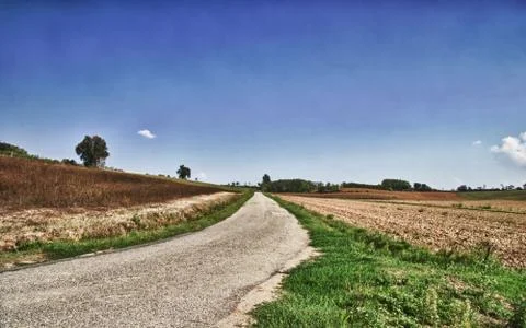 Road in the fields Stock Photos