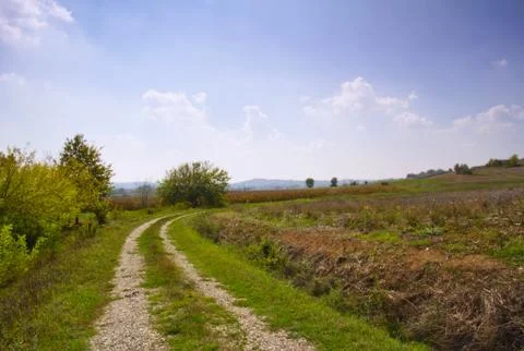 Road in the fields Stock Photos
