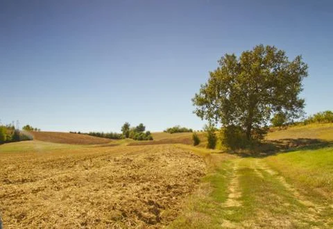 Road in the fields Stock Photos