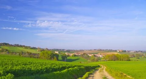 Road in the fields Stock Photos