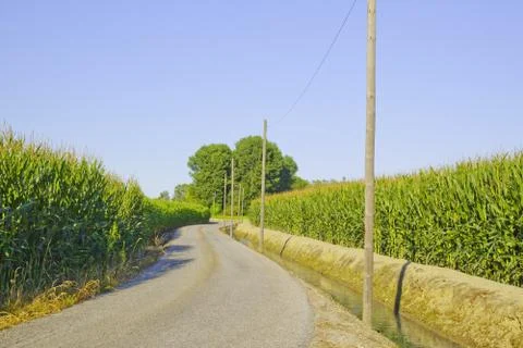 Road in the fields Stock Photos