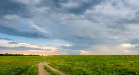 Road in the fields 写真素材