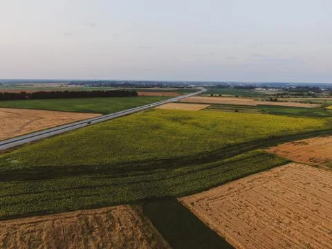 Road in the fields Foto stock