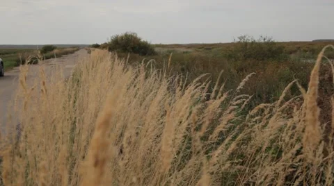 Road fishing Video stock 48908992