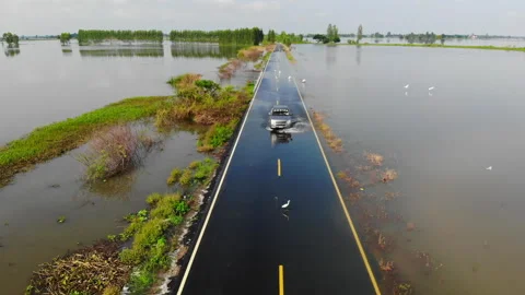 The road is flooded 스톡 동영상 291291753