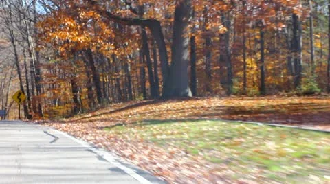 Road Stock Footage 8949753