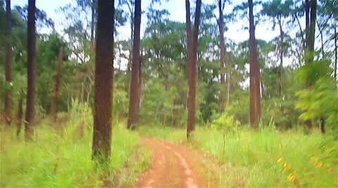 Off-road Stock Footage 33351104