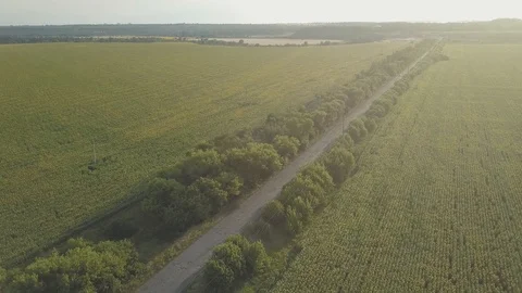 Road Stock Footage 91945158