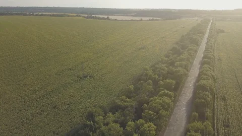 Road Stock Footage 91945205