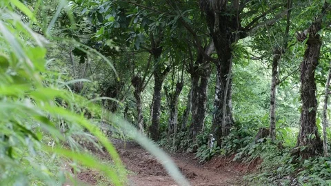 The road Stock Footage 99118190