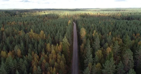 Road Stock Footage 99510167