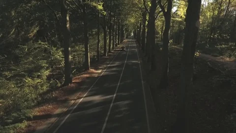 On the road Stock Footage 100330588