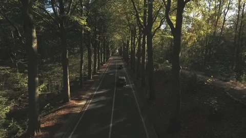 On the road Stock Footage 100330628