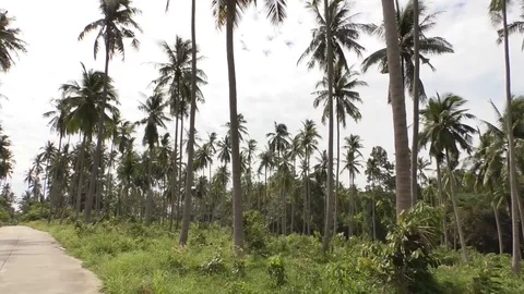 Road Stock Footage 112415637