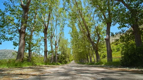 Road Stock Footage 138670354