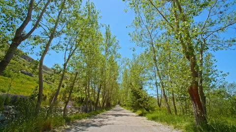 Road Stock Footage 138671673