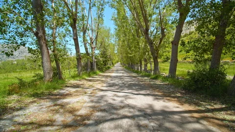 Road Stock Footage 138695286
