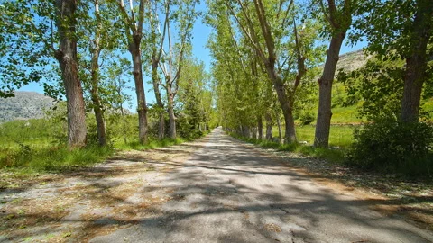 Road Stock Footage 138700665