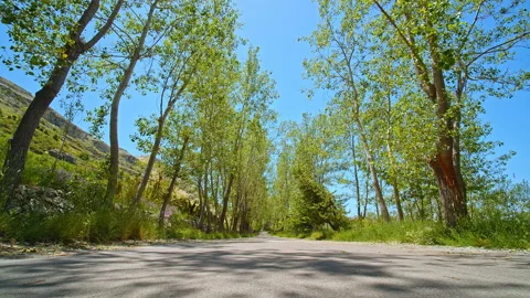 Road Stock Footage 138704675