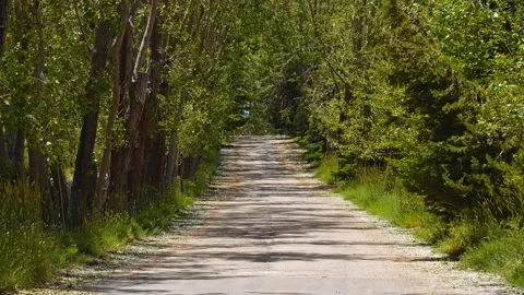 Road Stock Footage 138711249