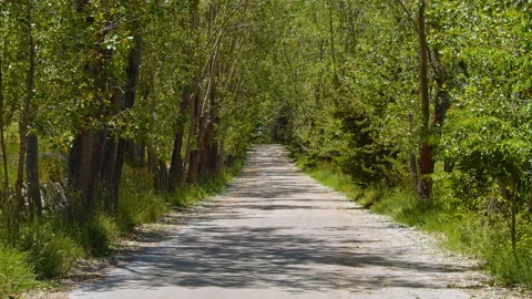 Road Stock Footage 138720251