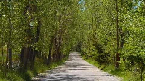 Road Stock Footage 138721386