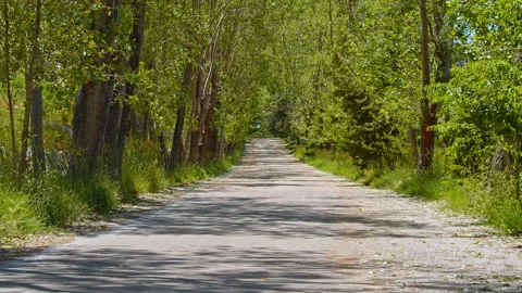 Road Stock Footage 138723771