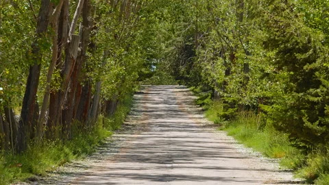 Road Stock Footage 138729131