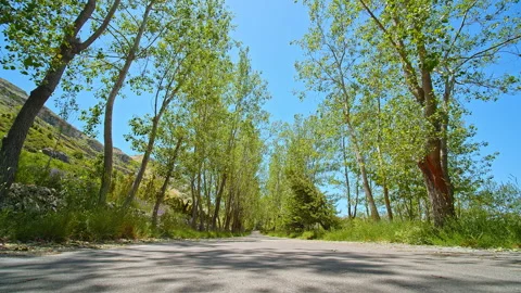 Road Stock Footage 138738578