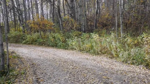 Road Stock Footage 141287990