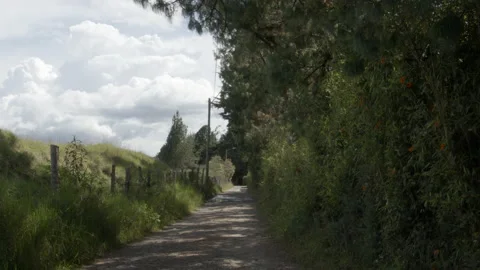 Road Stock Footage 142057121