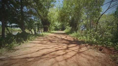 Road Stock Footage 143296008