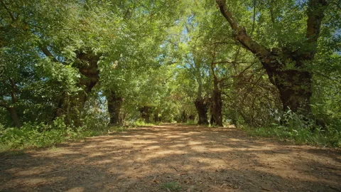 Road Stock Footage 143297783
