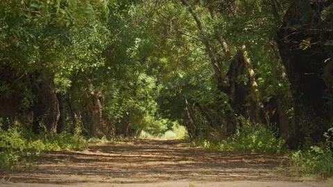 Road Stock Footage 143299060