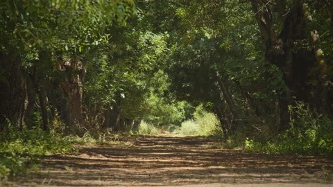 Road Stock Footage 143300131