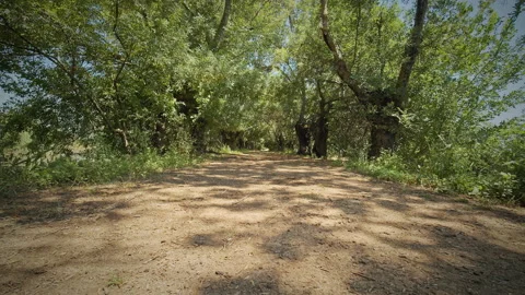 Road Stock Footage 143301877