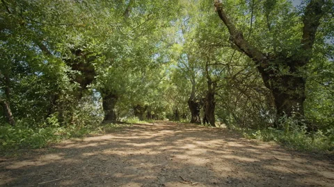 Road Stock Footage 143304442