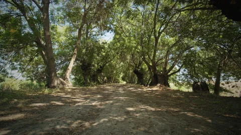 Road Stock Footage 143312755