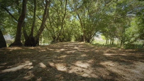 Road Stock Footage 143316931