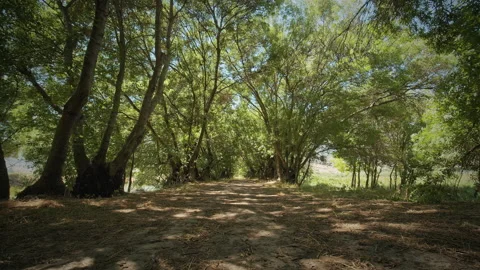 Road Stock Footage 143322103
