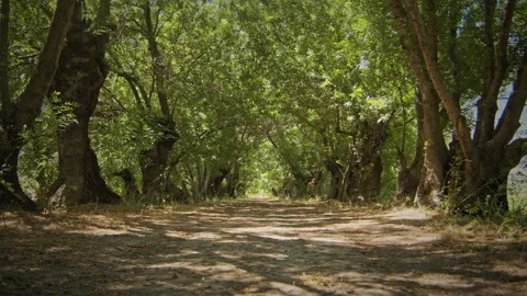 Road Stock Footage 143329018