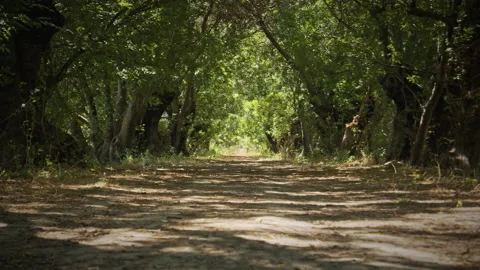 Road Stock Footage 143331556