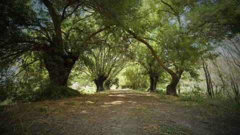 Road Stock Footage 143345255