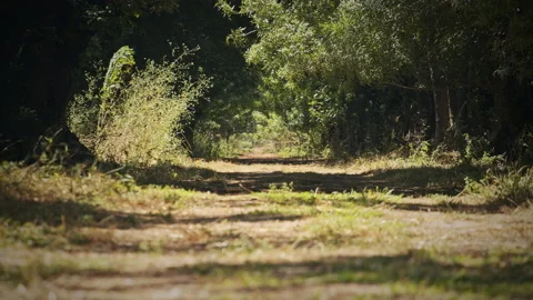 Road Stock Footage 143347495