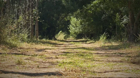 Road Stock Footage 143350302