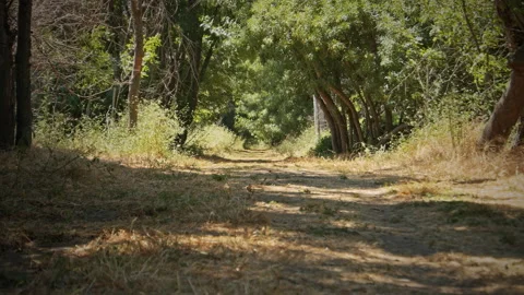Road Stock Footage 143353490