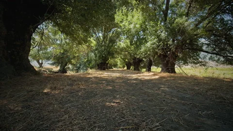 Road Stock Footage 143362329