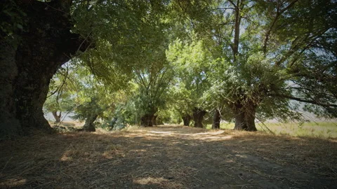 Road Stock Footage 143363855