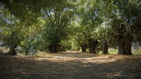 Road Stock Footage 143365929