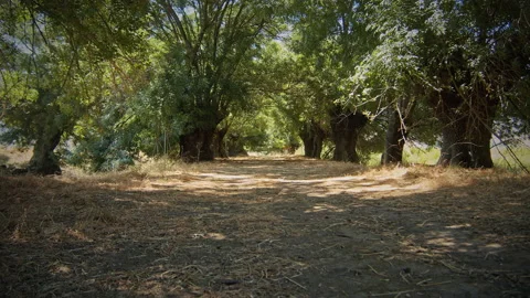 Road Stock Footage 143368201